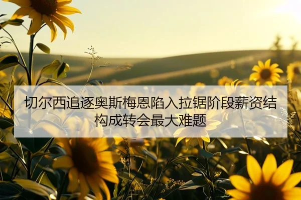 qie-er-xi-zhui-zhu-ao-si-mei-en-xian-ru-la-ju-jie-duan-xin-zi-jie-gou-cheng-zhuan-hui-zui-da-nan-ti-2-922.jpg